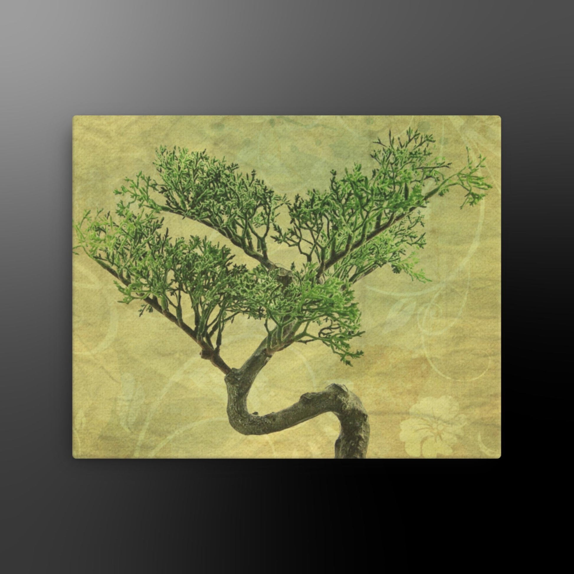 Bonsai Inshō, Japanese Style Wall Art on Fine Canvas