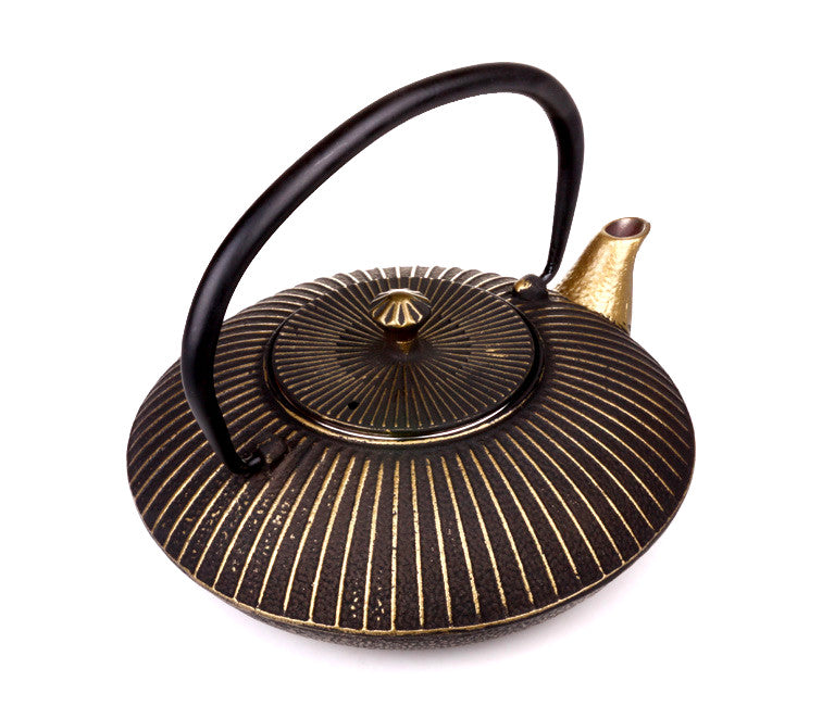 Cast Iron Kettle in Ancient Asian Style